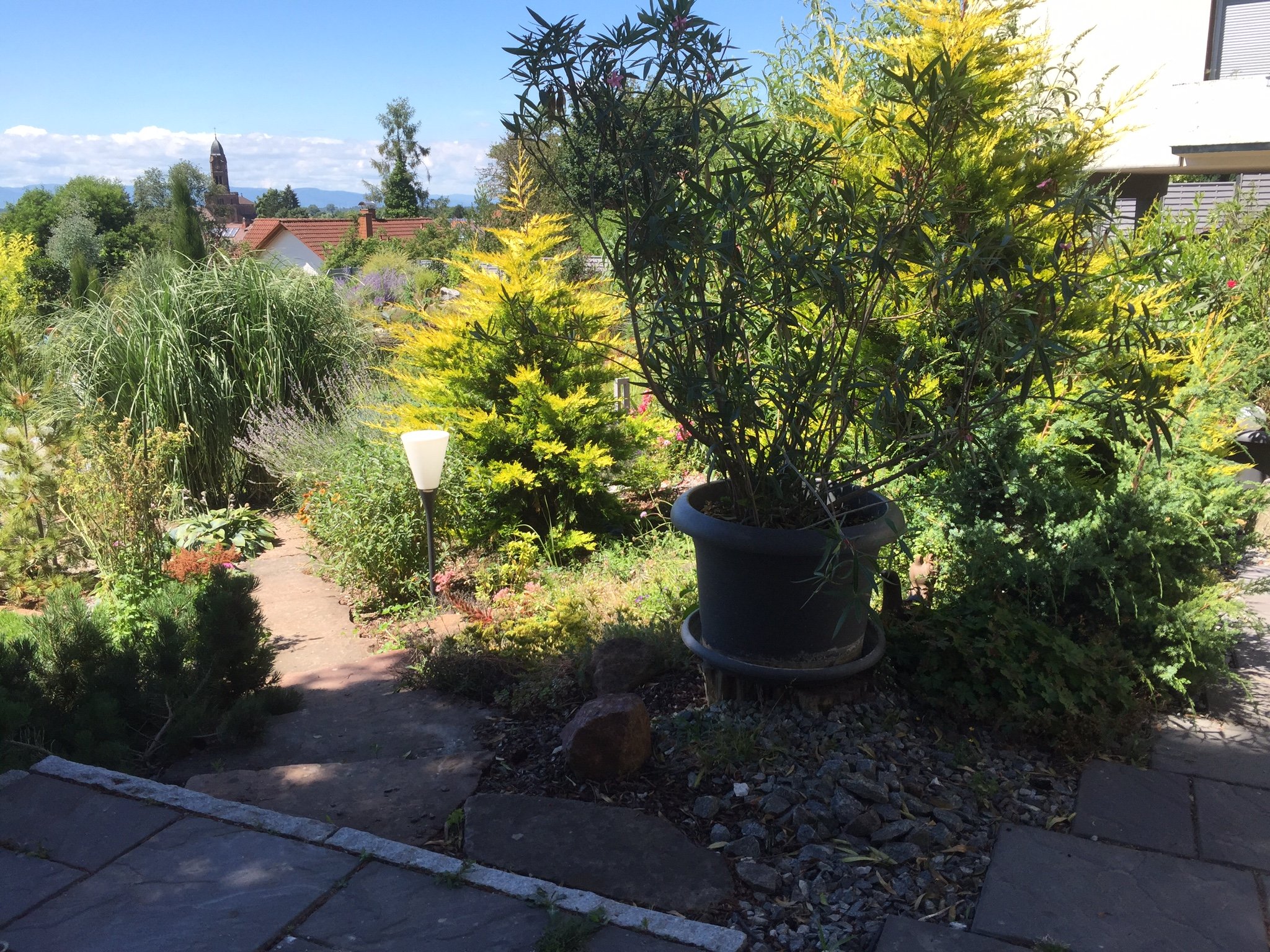 Blick in den Garten